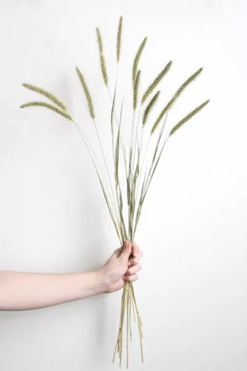 Roxanne’s Dried Flowers Setaria