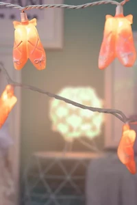 Ballerina Shoe 6ft String Lights