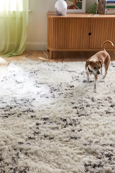 Angela Rose X Loloi Amira Rug