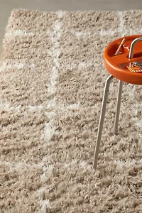 Angela Rose X Loloi Amira Rug