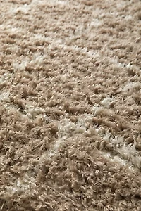 Angela Rose X Loloi Amira Rug