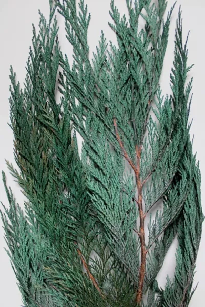 Roxanne’s Dried Flowers Cedar