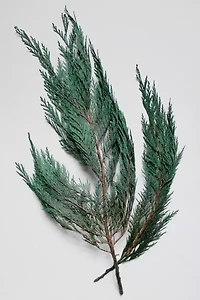 Roxanne’s Dried Flowers Cedar