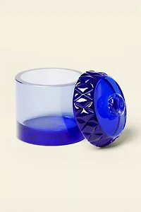 Houseplant Glass Stash Jar