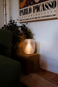 Wooj Design x Christopher Merchant Allium Lamp