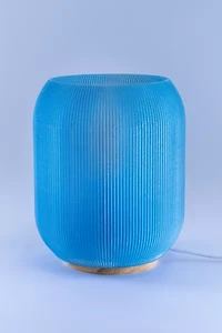 Honey & Ivy Element One Table Lamp