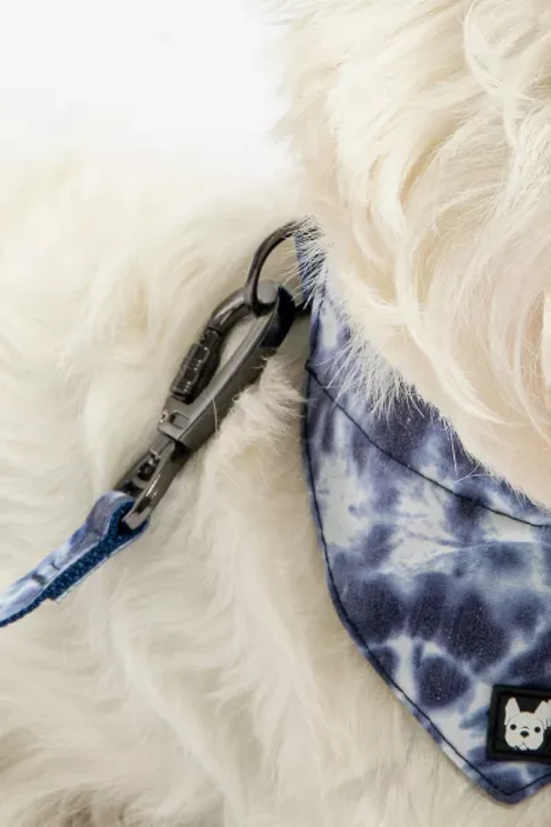 Silver Paw Poplin Bandana Dog Collar