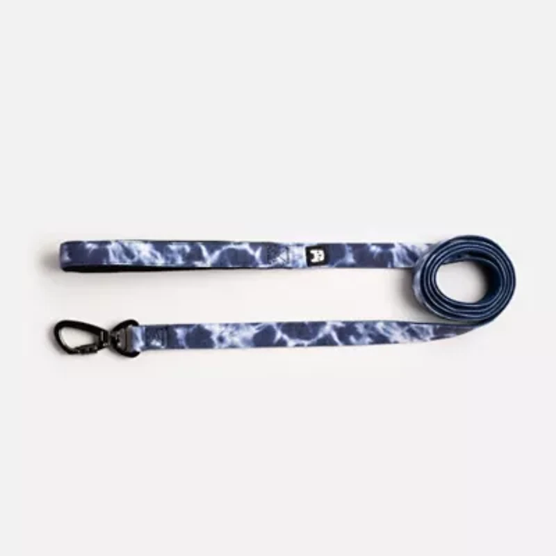 Silver Paw Poplin Dog Leash