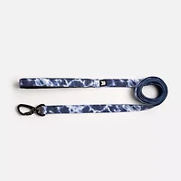 Silver Paw Poplin Dog Leash