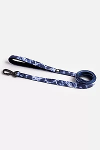 Silver Paw Poplin Dog Leash