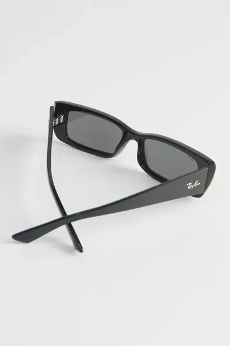 Ray-Ban Teru Sunglasses