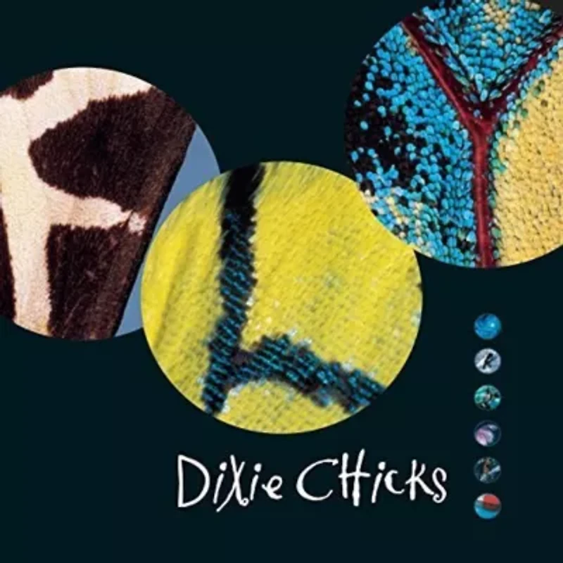 The Chicks - Fly LP