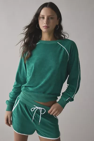 Beach Riot Greer Forrest Park Velour Crew Neck Sweatshirt