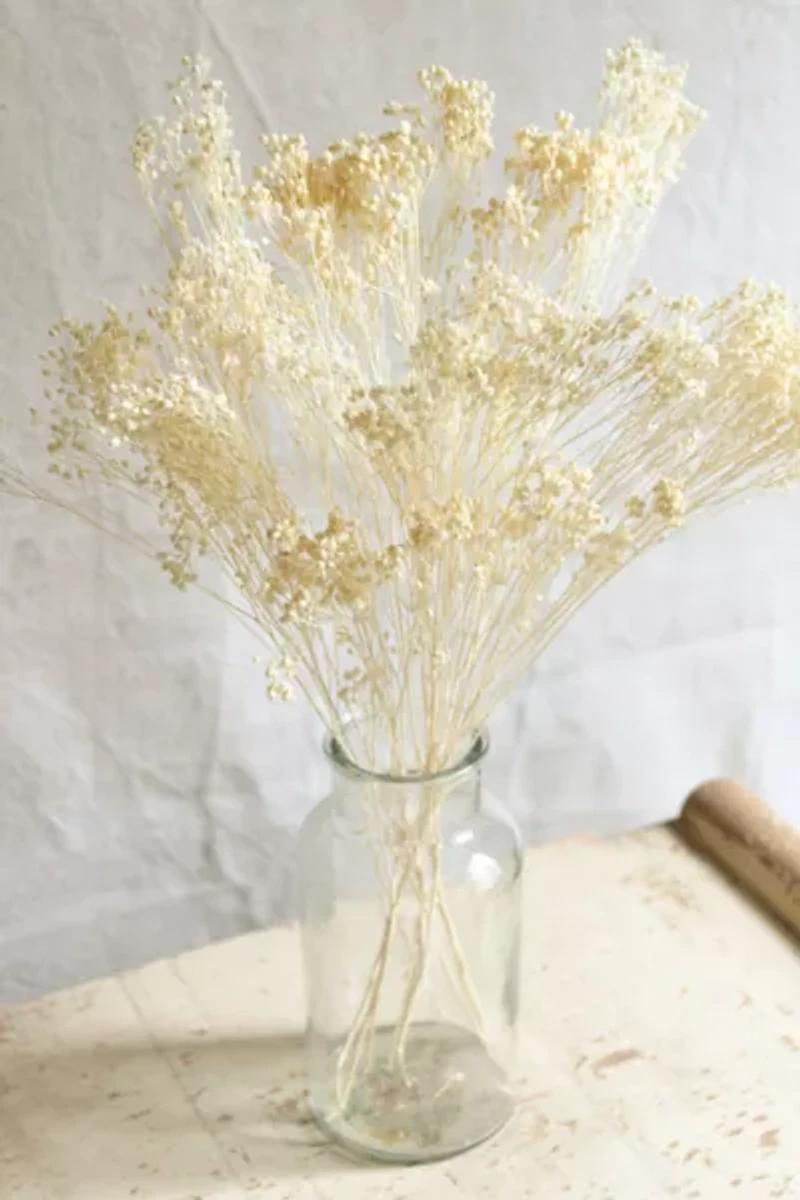 Roxanne’s Dried Flowers Bleached Gypsophila Bloom