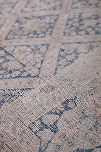 Kimmie Floral Printed Performance Rug
