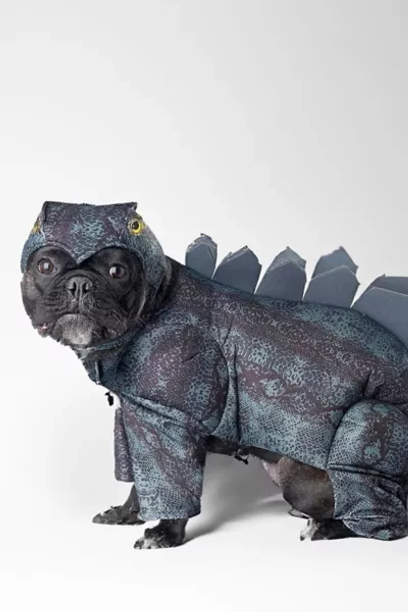 Dinosaur Pet Costume