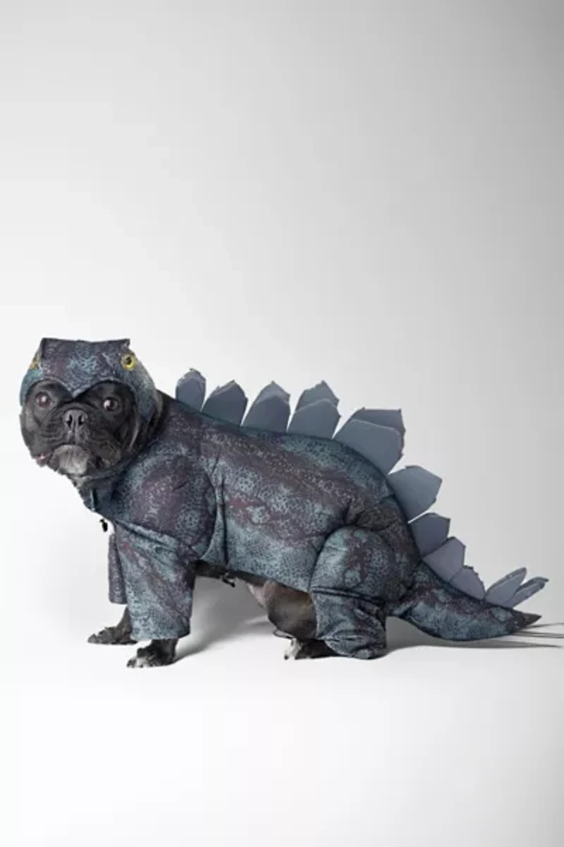 Dinosaur Pet Costume