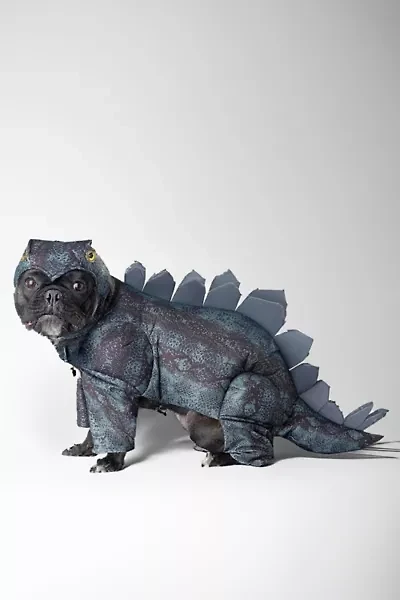 Dinosaur Pet Costume