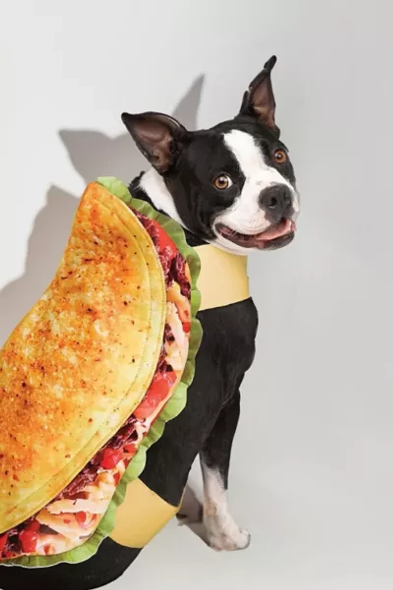 Taco Pet Costume