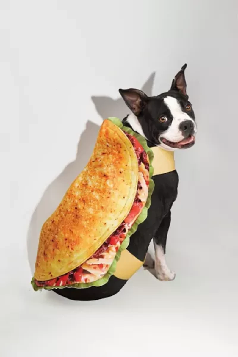 Taco Pet Costume