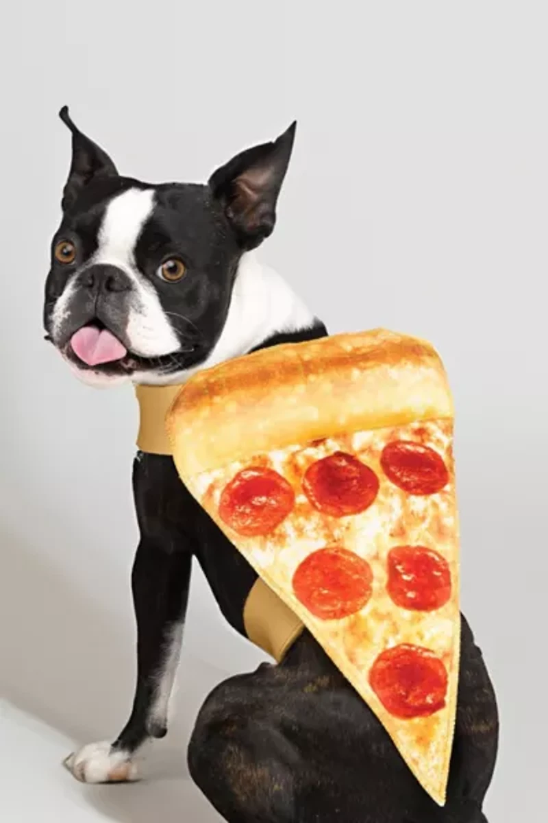 Pizza Pet Costume