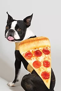 Pizza Pet Costume