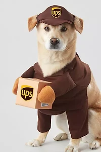 UPS Delivery Pet Costume