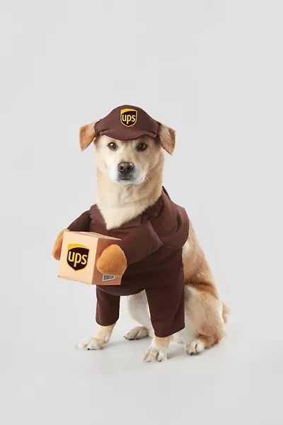 UPS Delivery Pet Costume