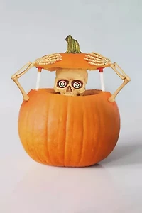 Light-Up Pumpkin Peeper Decorating Kit