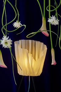 Wooj Design CS.03  Diaphane Lamp