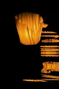Wooj Design CS.03  Diaphane Lamp