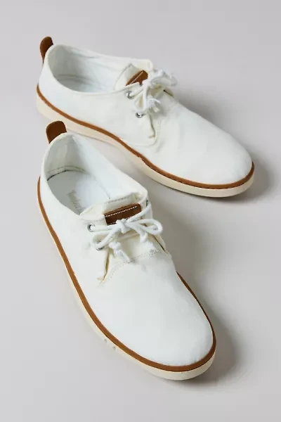 Timberland Men's Hookset Canvas Sneaker