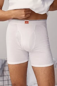Hanes UO Exclusive Boxer Brief 2-Pack