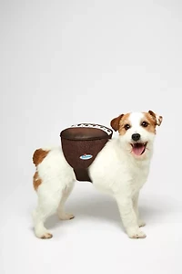 Hostess Sweet Treat Halloween Pet Costume