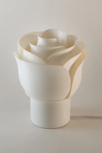 Honey & Ivy Rose Table Lamp