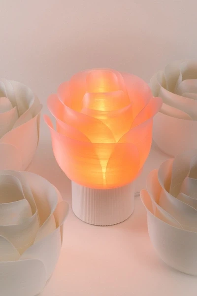 Honey & Ivy Rose Table Lamp