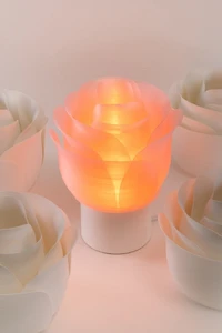 Honey & Ivy Rose Table Lamp