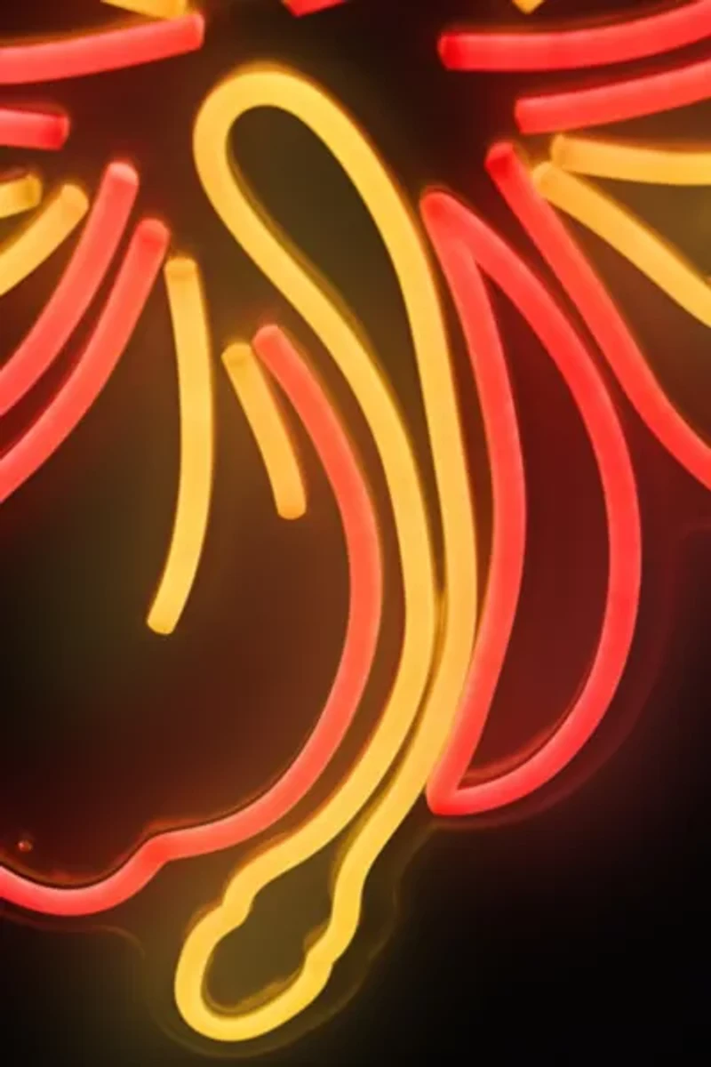 Echo Neon Hibiscus Flower Neon Sign