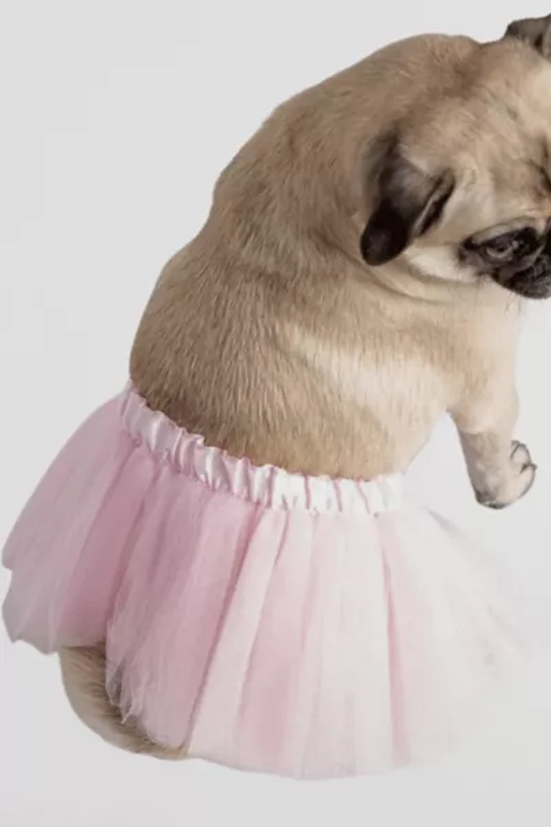 Silver Paw Pink Tutu Dog Costume