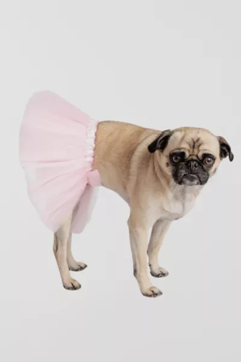 Silver Paw Pink Tutu Dog Costume