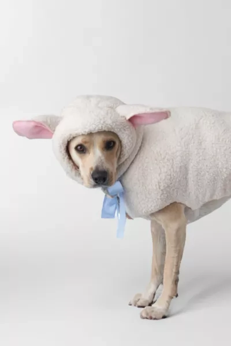 Sheep Halloween Pet Costume