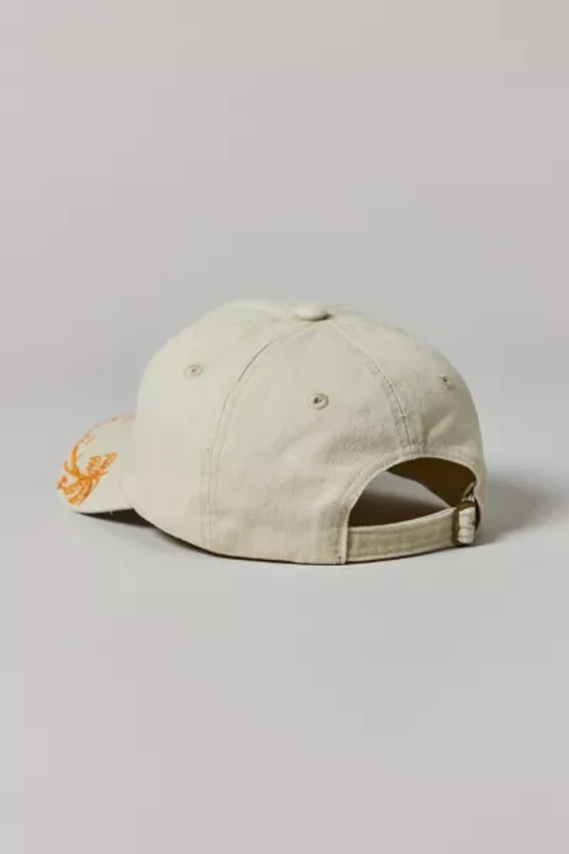 Destination Scenic Dad Hat