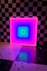 Echo Neon REVE Wall Light