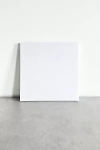 Echo Neon REVE Wall Light