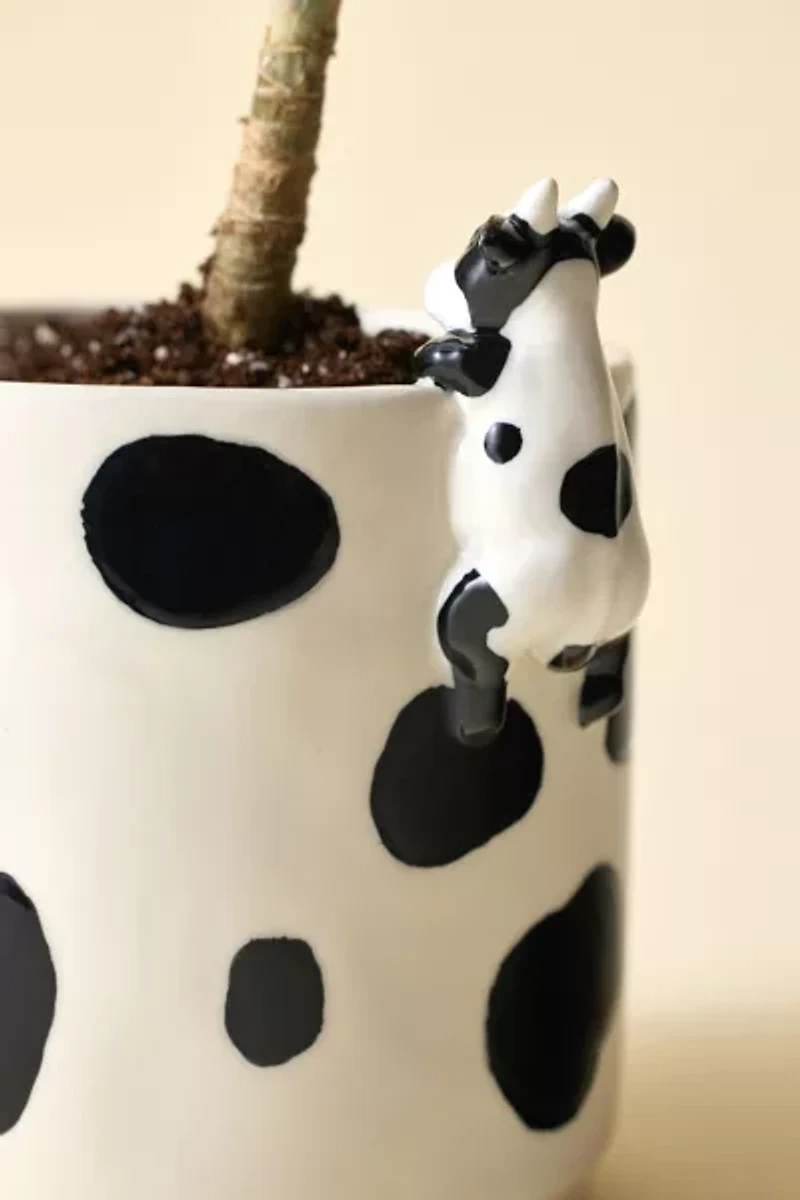 Moo Peeking Cow Ceramic Planter