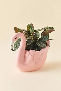 Flamingo Shaped Ceramic Planter