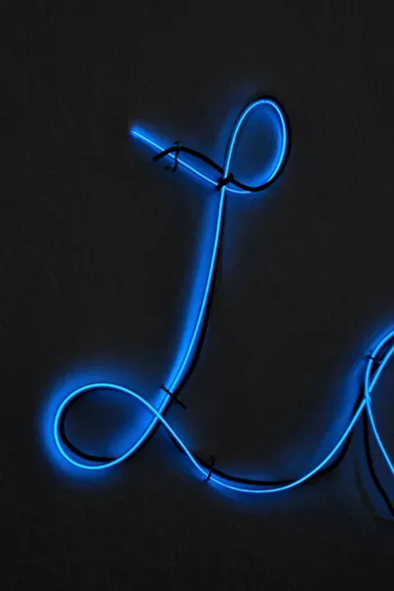 Make Your Own Neon Light Kit