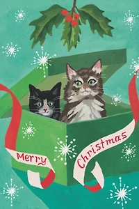 Red Cap Meowy Christmas Holiday Card