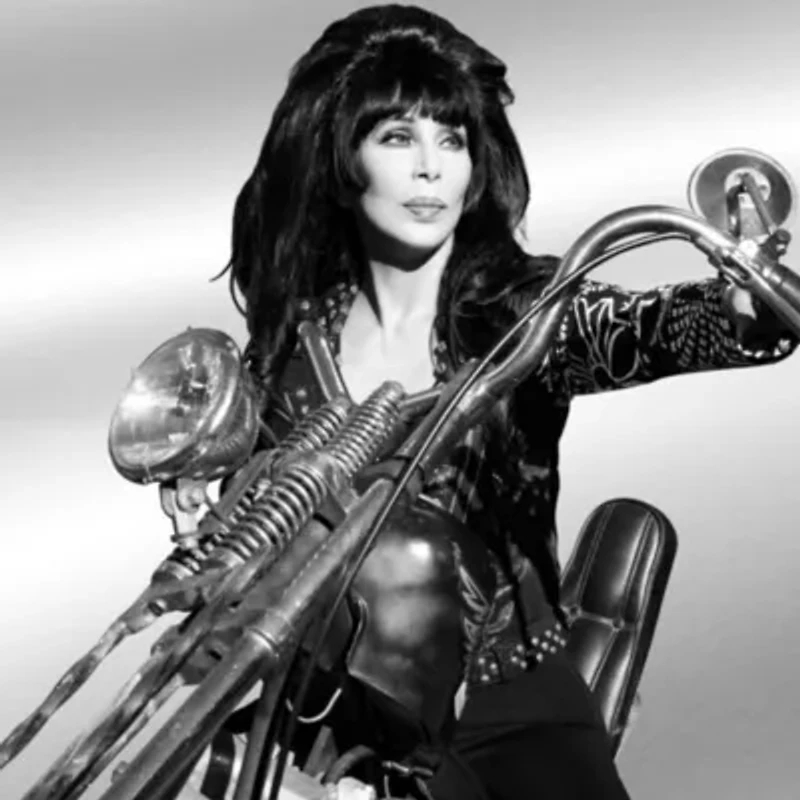 Cher - Forever  LP