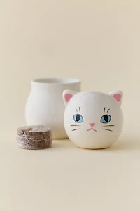 Corocoro Cats Rolling Head Planter & Grow Kit